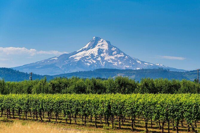 Mt. Hood Loop Tour from Portland - Key Points