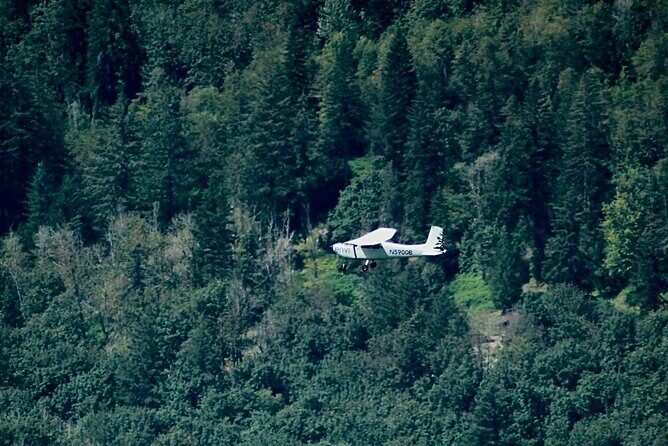 Mt. Hood & Multnomah Falls Air Tour by Envi Adventures - The Sum Up