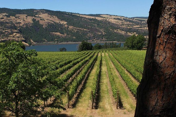 Mt Hood, Waterfalls, and Wine Tour with Tasting Fees Included - Transportation & Group Experience