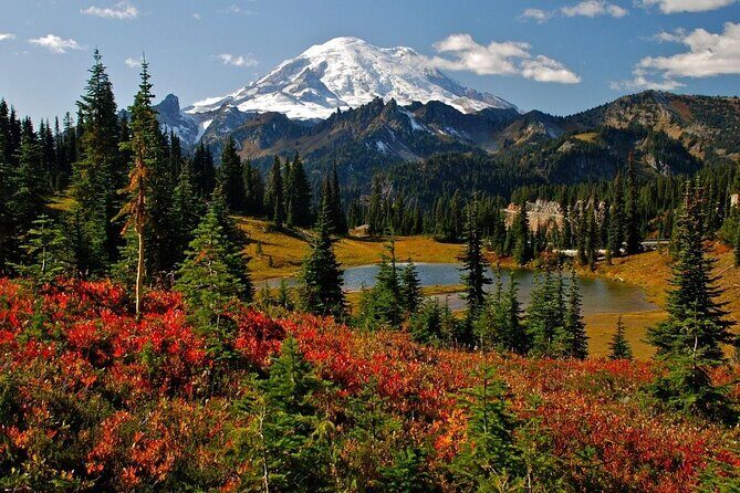 Mt. Rainier National Park Day Tour from Seattle - Transportation, Timing, and Group Size