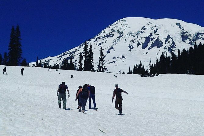 Mt Rainier Private Tour Experience in SUV - Transportation and Comfort