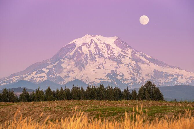 Mt. Rainier tour with Gandola ride at Sunrise and Paradise - Exploring Paradise: Wildflowers, Hikes, and Visitor Center