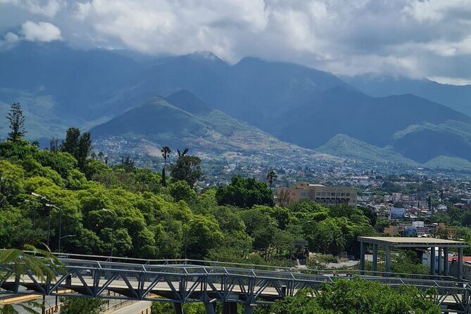 MTB Bike Tour: Enduro to Cerro del Fortín (Black Diamond trails) - Why This Tour is a Great Value