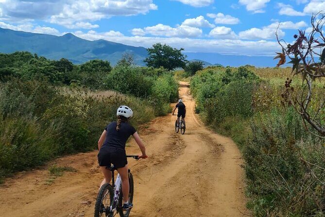 MTB Bike Tour: Monkey Tree + Tule Tree - Authentic Experiences and Authentic Landscapes