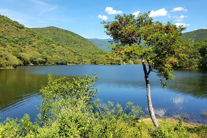 MTB Guided Ride, Tule Tree & Lake Half-Day - A Detailed Look at the MTB Guided Ride, Tule Tree & Lake