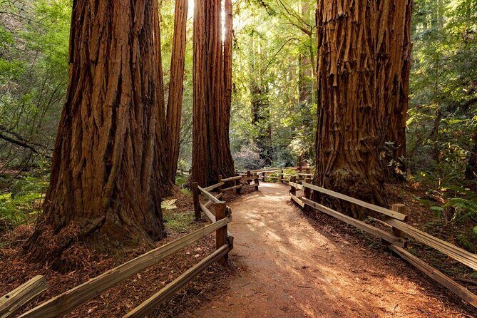 Muir Woods and Sausalito Private Tour - What’s Included and What to Keep in Mind