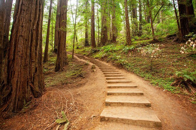 Muir Woods and Sausalito Tour Plus Bay Cruise - Transportation and Group Size