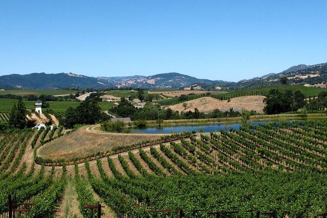 Muir Woods & Napa-8hr-Private Scenic Wine Tour From San Francisco - The Experience You Can Expect
