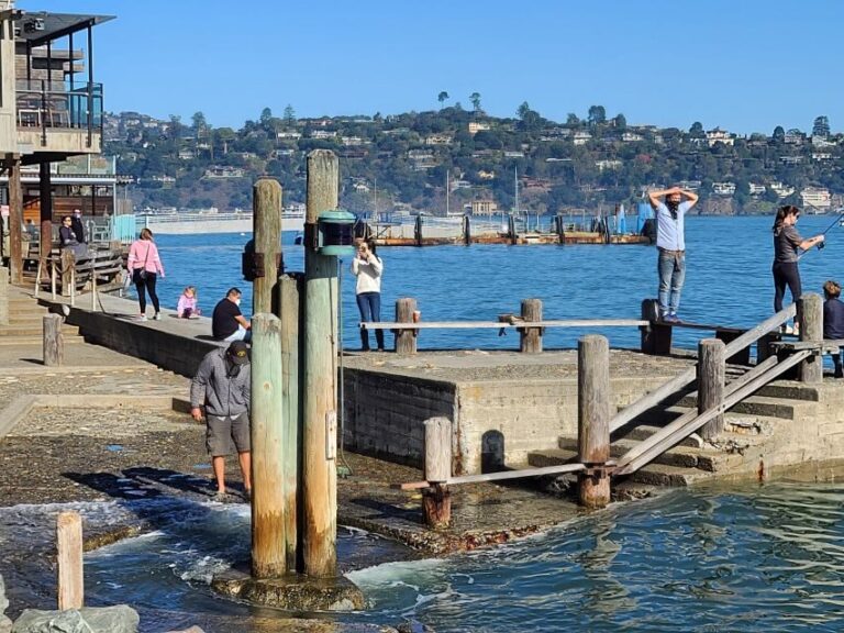 Muir Woods, Sausalito and Ferry back to Fisherman's Wharf - Why This Tour Adds Value