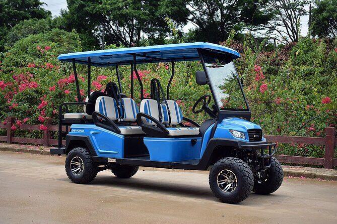 Multi Day 6 Passenger LSV Golf Cart Rental - Practical Tips for Your Rental Experience