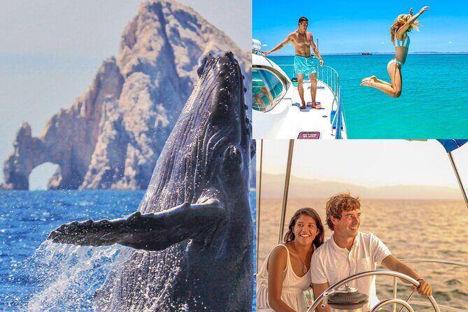 Multimillion Yacht Cabo Cruise Sunset or Snorkel Optional PICKUP! - Practicalities and Tips