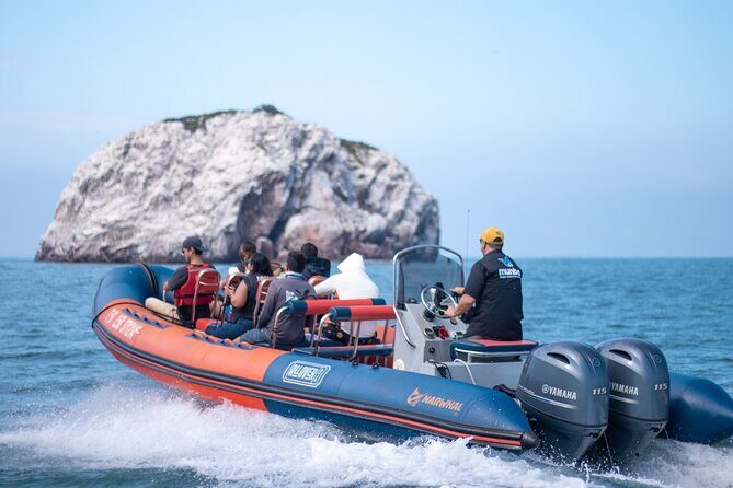 Munba Ballena Tour by Power Boat - The Experience: Pros and Cons