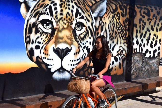 Mural Bike Tour - Neighborhoods Explored