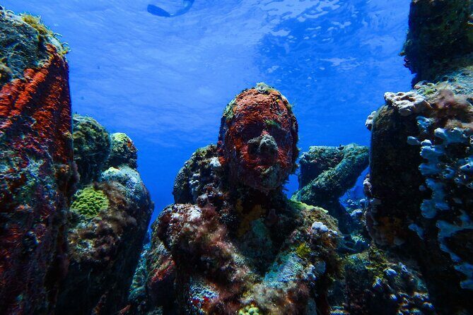 MUSA Museum and Colorful Reef 2 Tank Dive-Certified Divers - Why This Tour Appeals to Different Travelers