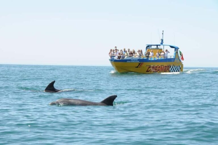 Muscat: 4-Hour Snorkeling Tour with Dolphin watching - FAQ
