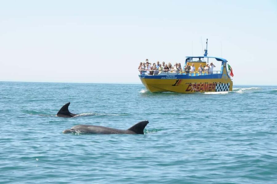 Muscat: 4-Hour Snorkeling Tour with Dolphin watching - FAQ