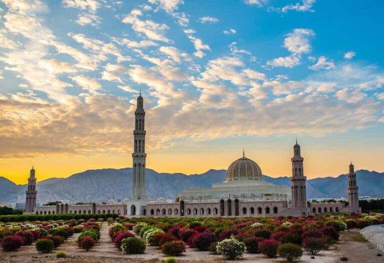 Muscat: City Highlights Tour with Optional Transfers - Final Thoughts