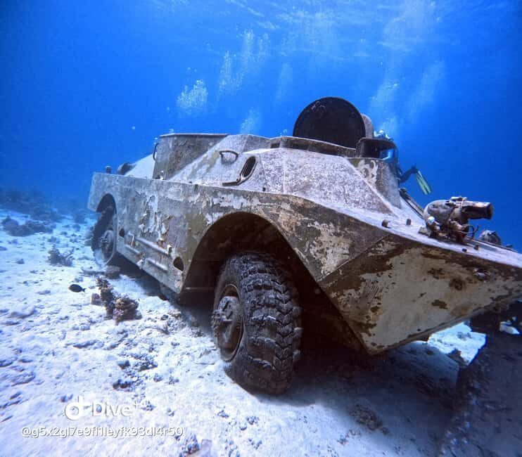 Museum Diving Experience in the Red Sea - Authentic Experiences and Common Praise