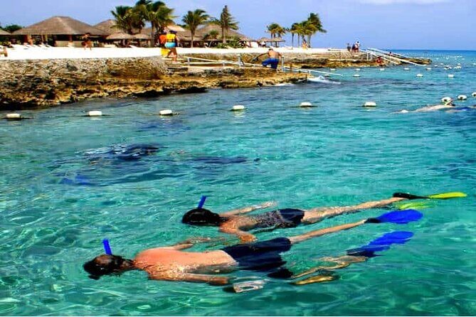 Museum for Coral Preservation with Chankanaab Park and OTOCH - Who Will Love This Tour?