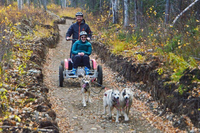 Mush Your Own Sled Dog Team (Summer/Fall Tour) - An In-Depth Look at the Tour