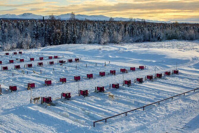 Mush Your Own Sled Dog Team (Winter Tour) in Talkeetna, Alaska - Itinerary Breakdown: What to Expect