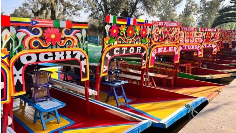 Music and Tequila in Xochimilco visits Coyoacán and CU - Navigating Xochimilco’s Colorful Canals