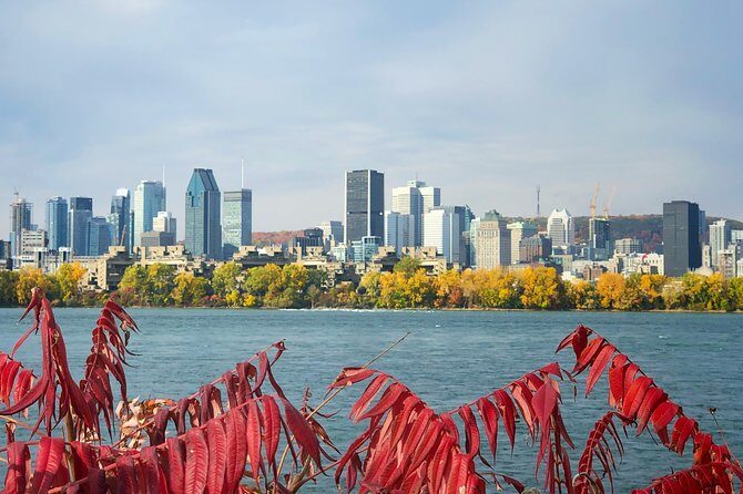Must See Montreal Walking Tour With A Local Host - Analyzing the Value