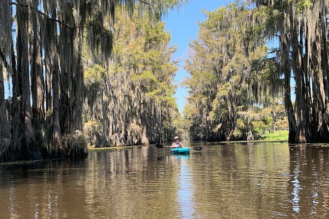 Mystical Private Kayak and Canoe Tours on Caddo Lake - FAQ