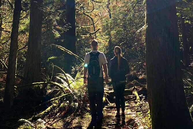 Mystical Rainforest Tour - Forest Magick - Why This Tour Offers Good Value