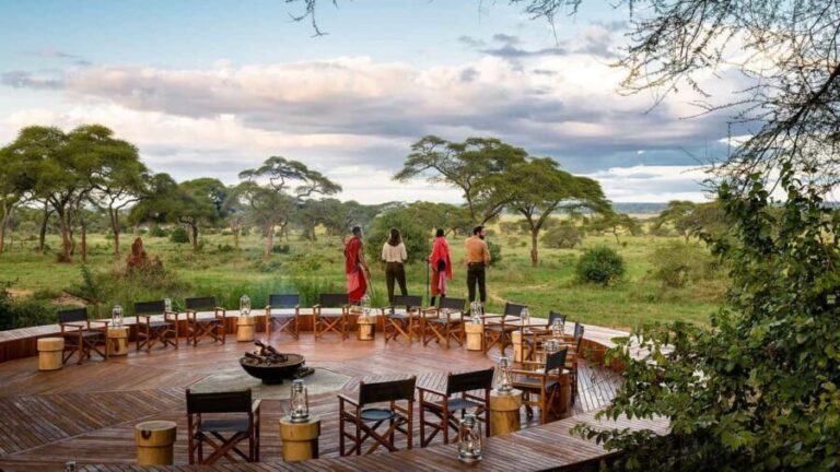 Nairobi: 3-Day Masai Mara National Reserve Safari - What Makes This Safari Stand Out?