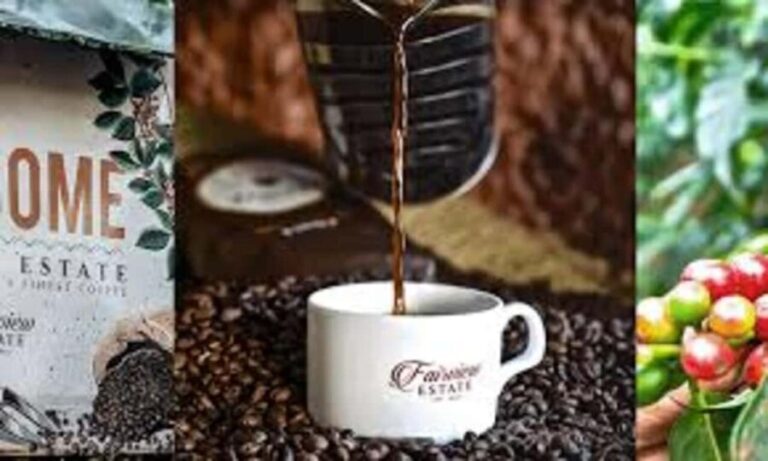 Nairobi: Fairview Coffee Estate Tour with Pickup - Exploring the Fairview Coffee Estate Tour