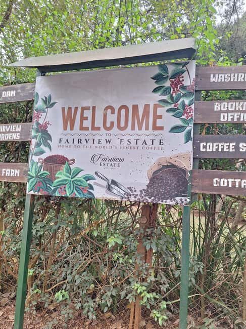 Nairobi: Fairview Coffee Farm Day Trip with Hotel Pickup - Final Thoughts on the Fairview Coffee Farm Day Trip
