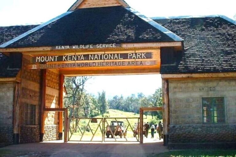 Nairobi: Mount Kenya Day Hike with Lunch - The Practical Details