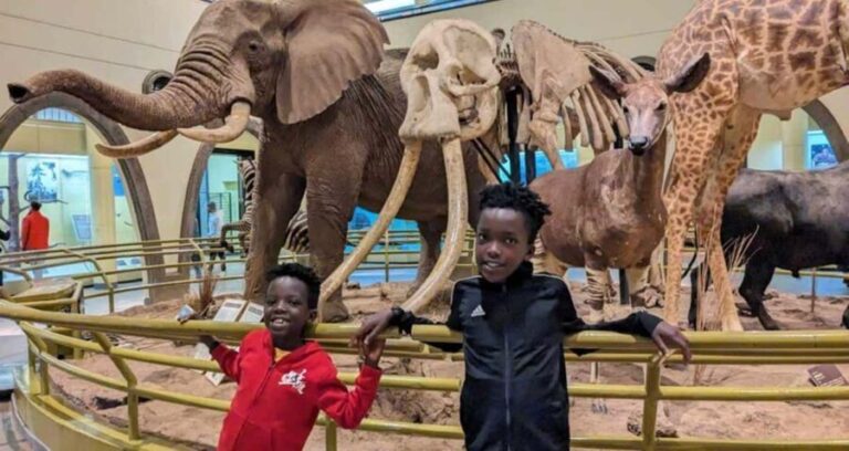 Nairobi: National Museum Giraffe Center and Bomas of Kenya - Up Close with Giraffes at the Giraffe Center