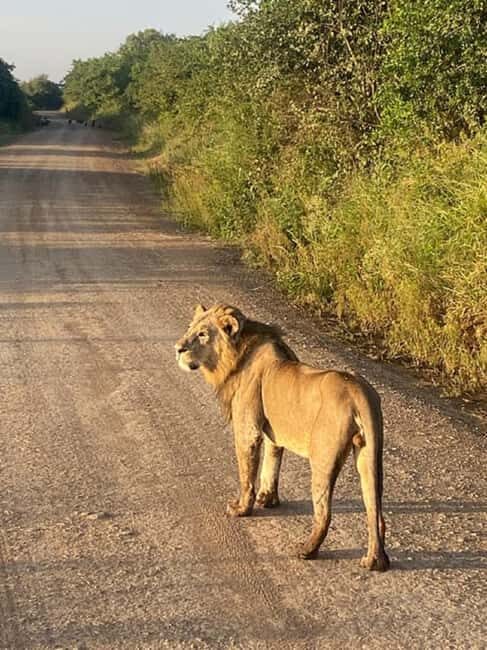 Nairobi National Park, Baby Elephant and Giraffe Centre - What’s Included and What to Budget