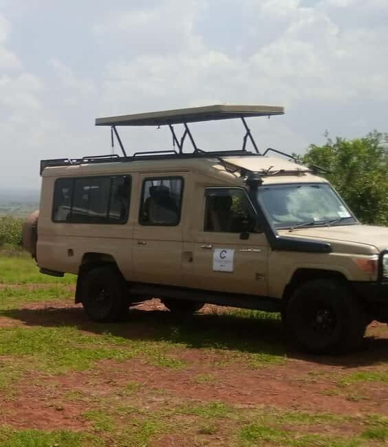 Nairobi National Park Full-Day Tour: Private 4WD with Guide - The Itinerary Breakdown