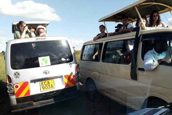 Nairobi National Park Half-Day Tour; Free Wi-Fi connection - A Close Look at the Tour Experience