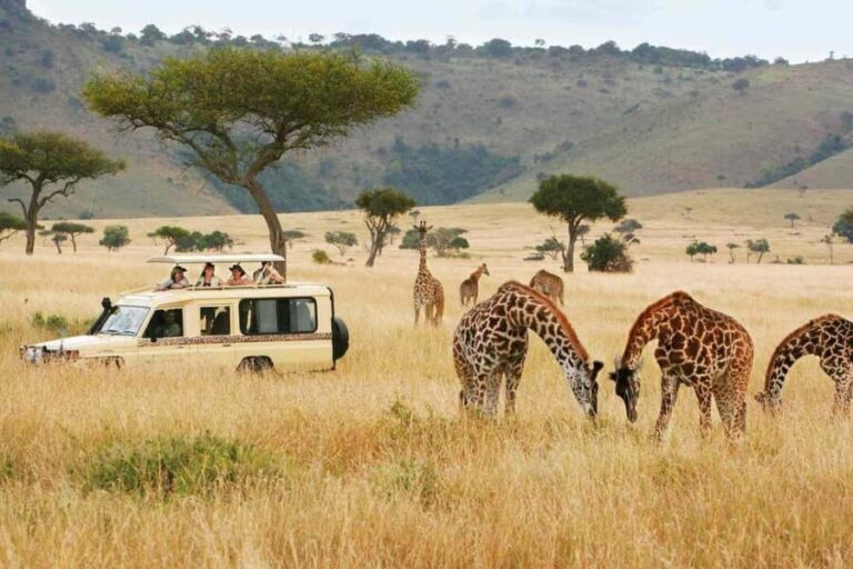 Nairobi Park, Elephant, Giraffe, Bomas & Safaripark Dinner - Practical Tips for Travelers