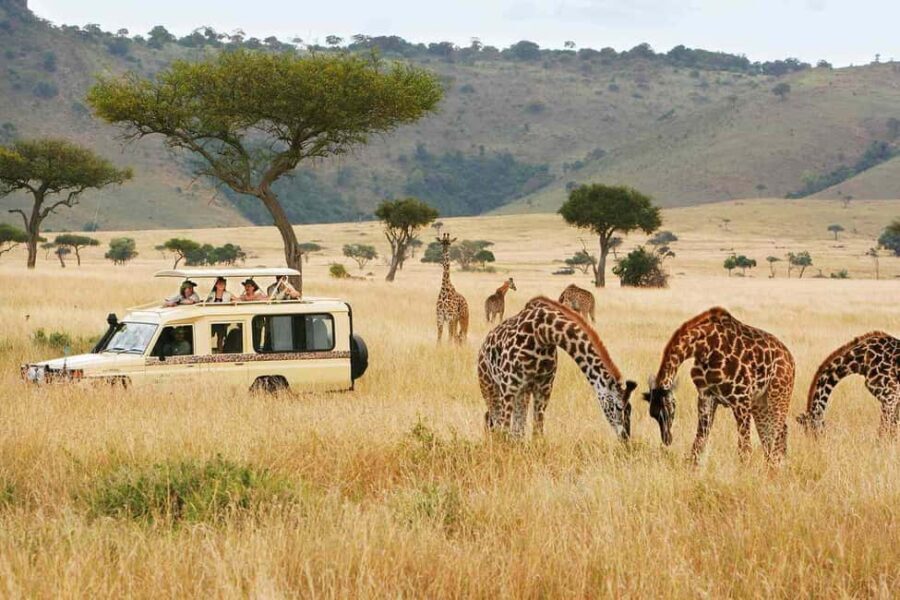 Nairobi Park, Elephant, Giraffe, Bomas & Safaripark Dinner - Practical Tips for Travelers