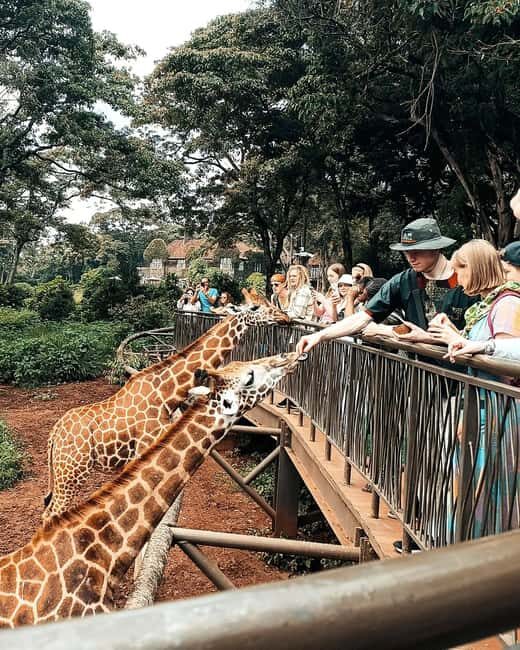 Nairobi Safari:National Park, Elephants &Giraffes GuidedTour - Value and Practical Tips