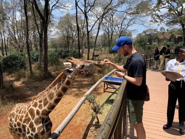 Nairobi:Giraffe Center, Baby Elephant and Beads factory Tour - Who Is This Tour Best For?