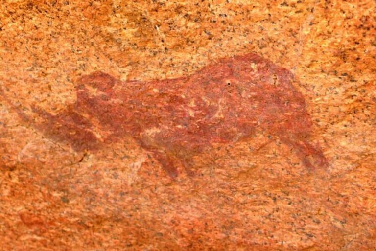 Namibia: Spitzkoppe Full Day Tour - Who Is This Tour Best Suited For?