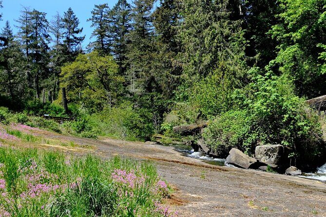 Nanaimo Urban Oasis Trail Walking Tour - How Does It All Add Up? Is It Worth the Price?