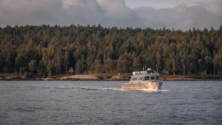 Nanaimo: Whale Watching Semi-Covered Boat Tour - Whats Included and Whats Not