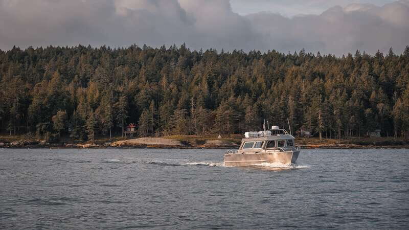 Nanaimo: Whale Watching Semi-Covered Boat Tour - Whats Included and Whats Not