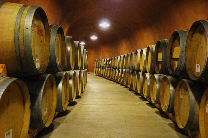 Napa and Sonoma-8-hr Private-Wine Tour from San Francisco XL SUV - The Itinerary: What to Expect