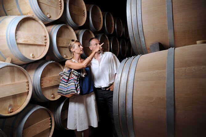 Napa or Sonoma Private Wine Tour from San Francisco - Pricing and Value