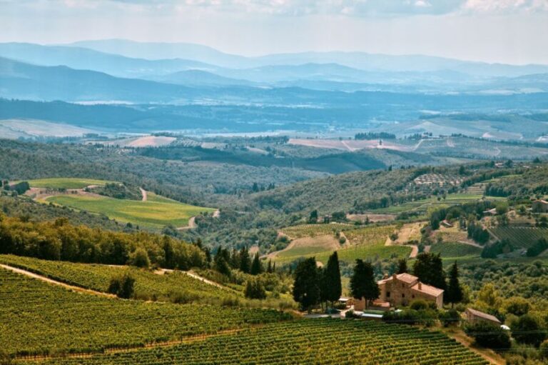 Napa Valley: Airplane Napa Valley Tour - Who Will Love This Tour?