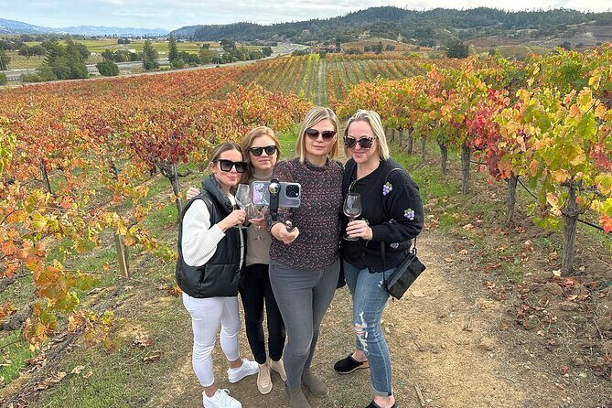 Napa Valley Mountainside Small Group Winery Tour - Things to Keep in Mind