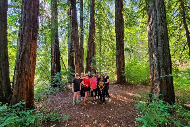 Napa Valley Redwood Hike - The Sum Up